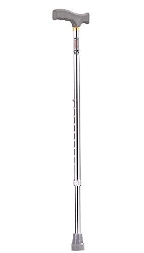 Walking Stick Single Leg