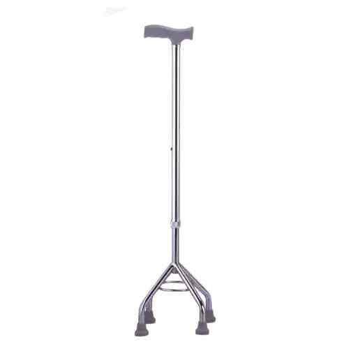 Walking Stick